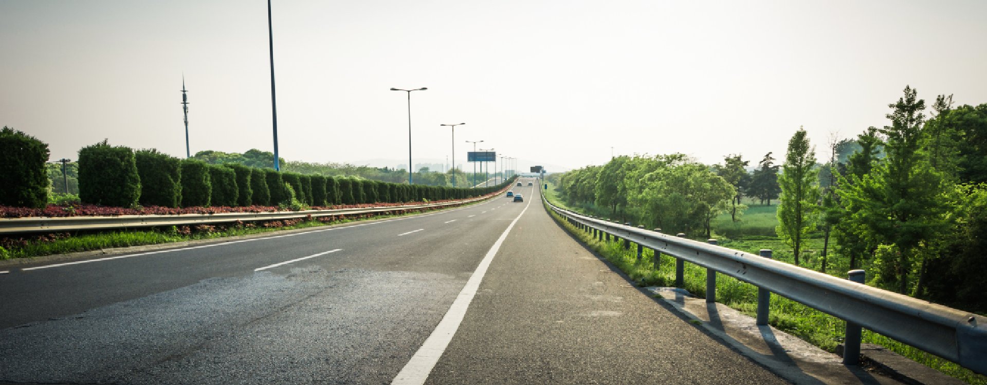 Infinity Ivy Highway